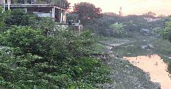 দখল-দূষণে অস্তিত্ব হারাচ্ছে চন্দনা নদী