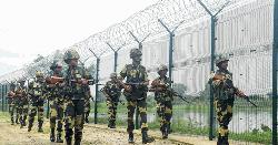 ভারতে দলে দলে প্রবেশের চেষ্টার তথ্য সঠিক নয়: দ্য হিন্দু