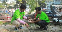 ছাত্রদল নেতা রাজু আহামেদের নেতৃত্বে ঢাবিতে বৃক্ষরোপণ 
