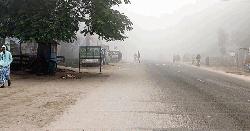 ৫ জেলায় ও এক বিভাগে মৃদু শৈত্যপ্রবাহ