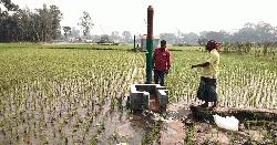 পানির অপচয় রোধে ভৈরবে বারিড পাইপ সেচ ব্যবস্থা
