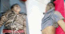 তজুমদ্দিনে গণধোলাইয়ে দুই গরুচোর নিহত