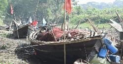 আজ থেকে পদ্মা-মেঘনায় দুই মাস জাটকা ধরা নিষিদ্ধ