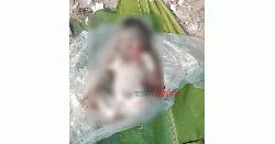 ওষুধের কার্টনে পলিথিনে মোড়ানো নবজাতকের মরদেহ