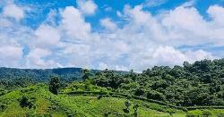 নাইক্ষ্যংছড়ি সীমান্তে ফের স্থলমাইন বিস্ফোরণ, যুবকের পা বিচ্ছিন্ন