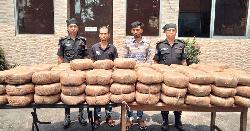৪২ লক্ষাধিক টাকার গাঁজাসহ দুই মাদককারবারি আটক