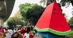 কাটা তরমুজ কীভাবে ফিলিস্তিনিদের প্রতিরোধের আইকন হয়ে উঠেছে 