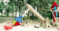 বিলুপ্তির পথে ঢেঁকি, হারিয়ে যাচ্ছে গ্রামীণ ঐতিহ্যের এক অনন্য নিদর্শন