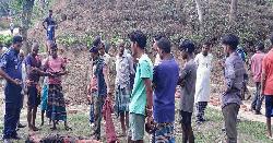 কমলগঞ্জে ট্রাক্টর উল্টে চা-শ্রমিক নিহত