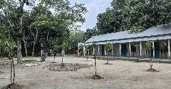 বিদ্যালয়ের মাঠে চারা রোপণের অভিযোগ, তালা লাগিয়ে পাঠদানে প্রতিবন্ধকতা