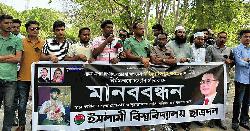 দেশে বর্তমানে দখলদারিত্বের রাজনীতি চলছে: ইবি ছাত্রদল