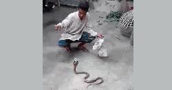 নিজের পোষা সাপের কামড়ে মৃত্যু!