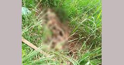 নোয়াখালীতে অজ্ঞাত মহিলার কঙ্কাল উদ্ধার