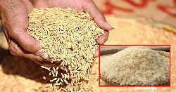 বড় দুঃসংবাদ, চালের দাম আরো বাড়বে