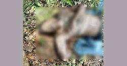 সেপটিক ট্যাংক থেকে সাবেক ছাত্রদল নেতার মরদেহ উদ্ধার