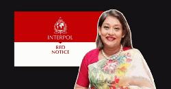 পুতুলের বিরুদ্ধে ইন্টারপোলের মাধ্যমে গ্রেফতারি পরোয়ানা জারির আদেশ