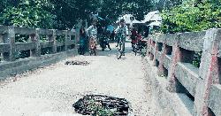 ৩১ বছরের ভাঙ্গা সেতুতে চলছে যানবাহন, দুর্ভোগে স্থানীয় জনগণ