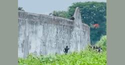 কারাগারের ১৮ ফুট দেয়াল টপকে হাজতির পালানোর চেষ্টা, অতঃপর...