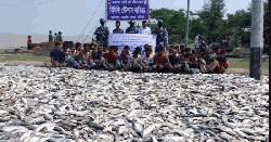 কোস্ট গার্ড ও মৎস্য অধিদপ্তরের যৌথ অভিযানে ১৫০ মণ ইলিশ জব্দ