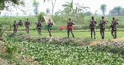 সীমান্তে বিজিবির টহল জোরদার, গোয়েন্দা তৎপরতা বৃদ্ধি
