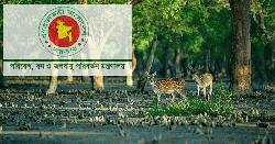 সুন্দরবনের ১০ কিলোমিটারের মধ্যে শিল্পপ্রতিষ্ঠান স্থাপনে নিষেধাজ্ঞা