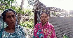 শৈলকুপা জমি দখলের অভিযোগ, উচ্ছেদের শঙ্কায় অসহায় পরিবার