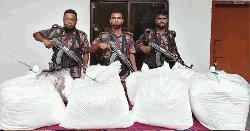 বেনাপোল সীমান্তে জব্দ ৬০ লক্ষাধিক টাকার ভায়াগ্রা পাউডার