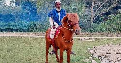 ৩ সহস্রাধিক কবর খোঁড়া শয্যাশায়ী মনু মিয়ার প্রিয় ঘোড়াটি মেরে ফেলল দুর্বৃত্তরা