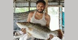 ১০ কেজির কোরাল মিলল পুকুরে
