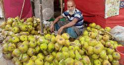 নবীনগরে তালের শাঁস বিক্রির ধুম 