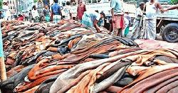 বাড়ানো হলো কোরবানির পশুর চামড়ার দাম
