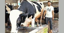 ‘বাদশা’র নাস্তা আপেল-আঙ্গুর, দাম ১৫ লাখ 