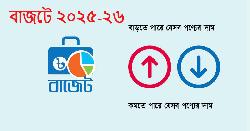 দাম বাড়তে-কমতে পারে যেসব পণ্যের