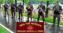৩৭ গরু জব্দ বিজিবির অভিযানে
