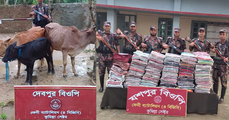 সীমান্তে ১৮ লাখ টাকার ভারতীয় শাড়ি-লেহেঙ্গা ও ১৭৩ টি গরু জব্দ