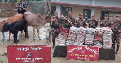 সীমান্তে ১৮ লাখ টাকার ভারতীয় শাড়ি-লেহেঙ্গা ও ১৭৩ গরু জব্দ