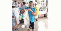 আন্ধারমানিক নদীতে ধরা পড়লো ১০ কেজি ওজনের কোরাল