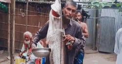 ধরা পড়লো ২৭ কেজি ওজনের বোয়াল