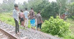 টাঙ্গাইলে ট্রেন ও বাসের ছাদ থেকে পড়ে নিহত ২