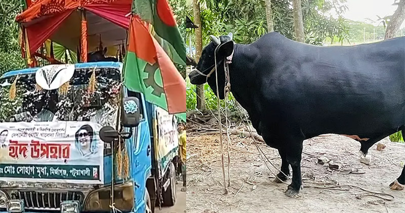 সংগৃহীত ছবি