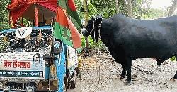 কৃষক সোহাগ মৃধাকে যে উপহার দিলেন খালেদা জিয়া