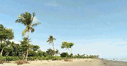 প্রাণ ফিরেছে কুয়াকাটায়