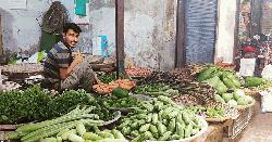 কুষ্টিয়ার বাজারে দাম কমেছে সবজির 