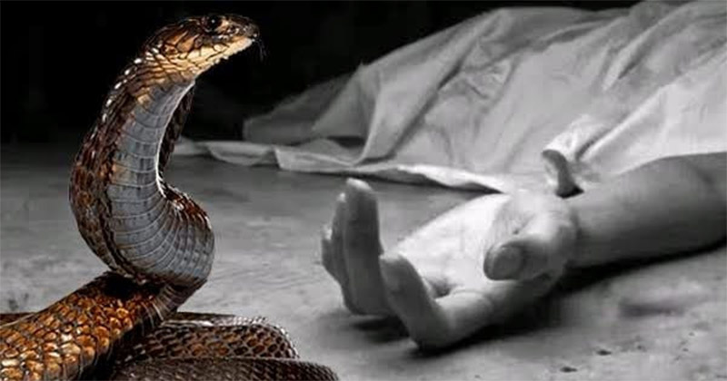 প্রতীকী ছবি