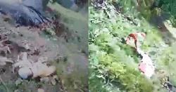 ভারতে হেলিকপ্টার বিধ্বস্ত: নিহত ৭