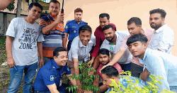 ছাত্রদলের বৃক্ষরোপণ কর্মসূচি