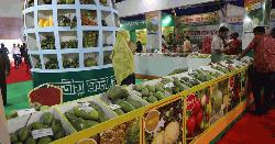 খামারবাড়িতে জাতীয় ফল মেলার উদ্বোধন করলেন কৃষি উপদেষ্টা 