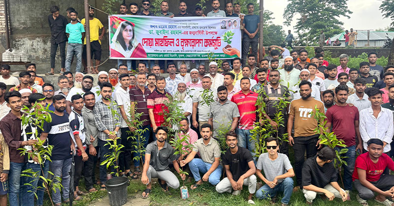 বগুড়ায় দোয়া মাহফিল ও বৃক্ষরোপণ কর্মসূচি অনুষ্ঠিত হয়েছে।