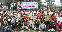 ডা. জুবাইদা রহমানের জন্মবার্ষিকীতে বৃক্ষরোপণ ও দোয়া মাহফিল