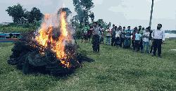 ১৮ লক্ষ টাকার নিষিদ্ধ চায়না জাল পুড়িয়ে ধ্বংস